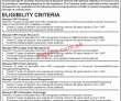 Jobs In National Transmission & Despatch Company Ltd
