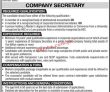Jobs in National Transmission and Despatch Company Limited