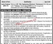 Jobs in National Transmission and Despatch Company Limited