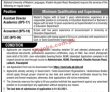 Jobs in National University of Modern Languages NUML Rawalpindi