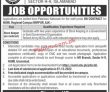 Jobs In National University Of Modern Languages Numl