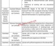 Jobs in National University of Modern Languages NUML