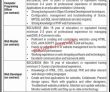 Jobs in National University of Modern Languages NUML