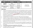 Jobs In National University Of Modern Languages