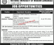Jobs in National University of Modern Languages