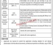 Jobs In National University Of Modern Languages