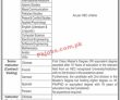 Jobs In National University Of Modern Languages
