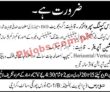 Jobs in Naurus (Pvt) Ltd