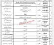 Jobs In Nayatel Fiber Networks