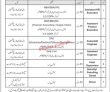 Jobs In Nayatel Fiber Networks