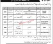 Jobs in Nayatel Fiber Networks