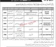 Jobs in Nayatel Fiber Networks