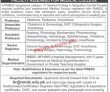 Jobs In Niazi Medical & Dental College Sargodha
