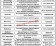 Jobs In Niazi Medical & Dental College