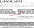 Jobs in Nimir Industrial Chemicals Limited NIMIR