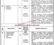 Jobs in Nishtar Medical University Multan