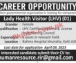 Jobs In Non Governmental Organization