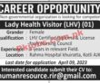 Jobs In Non Governmental Organization
