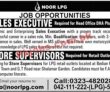 Jobs In Noor Lpg