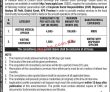 Jobs in OGDCL