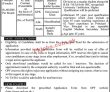 Jobs In Opf Overseas Pakistanis Foundation
