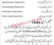 Jobs in ORIENT Group of Companies