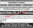 Jobs in Overseas Employment Corporation OEC