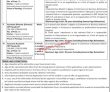Jobs In Overseas Pakistanis Foundation Ofp