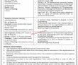 Jobs In Overseas Pakistanis Foundation Opf