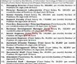 Jobs In Paf Iast