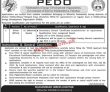Jobs In Pedo