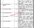 Jobs In Pir Mehr Ali Shah Arid Agriculture University