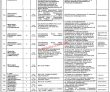 Jobs In Plicl