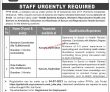 Jobs In Pphi Sindh