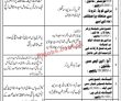 Jobs in PPHI Sindh