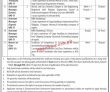 Jobs In Pqa Port Qasim Authority
