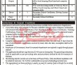 Jobs in PSDP Funded Project