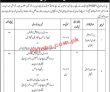 Jobs In Psdp Project