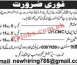 Jobs in Packaging Company