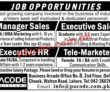 Jobs In Pacode Systems