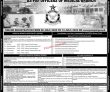 Jobs In Pakistan Air Force