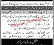 Jobs in Pakistan Army Selection Center Lahore
