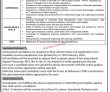 Jobs In Pakistan Civil Aviation Authority