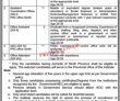 Jobs in Pakistan Institute for Parliamentary Services PIPS