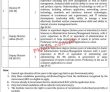 Jobs In Pakistan Institute For Parliamentary Services Pips