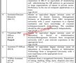 Jobs In Pakistan Institute For Parliamentary Services