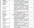 Jobs In Pakistan Science Foundation Ministry Of Science And Technology