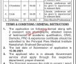 Jobs in Para Medical Institute Nawabshah