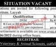 Jobs In Para Veterinary Institute Layyah