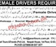 Jobs In Pearl Tours & Travels Pvt Ltd